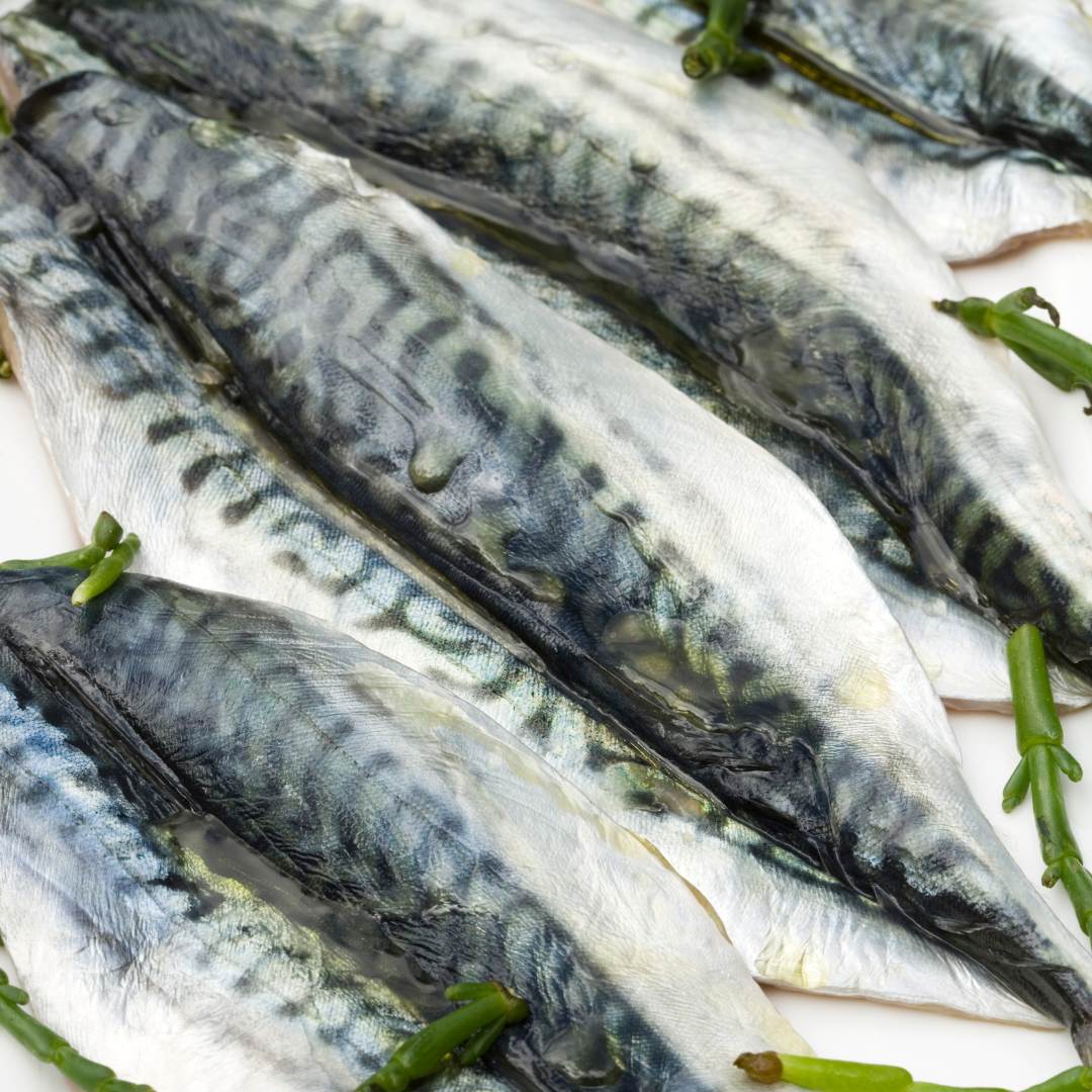 mackerel fillets