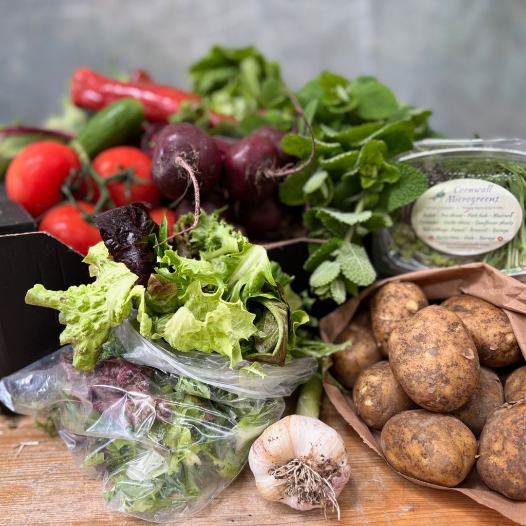 Salad Box medium