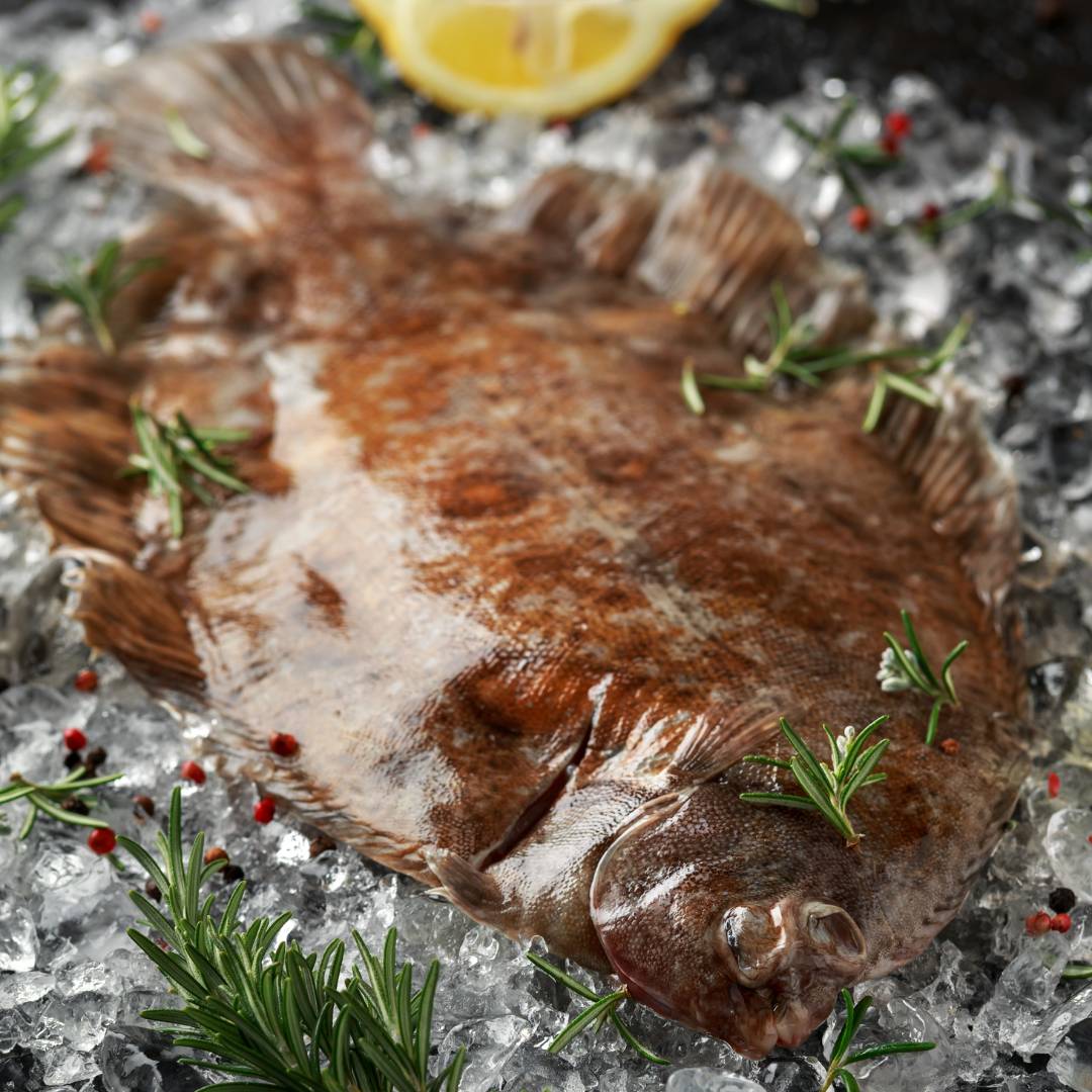 lemon sole
