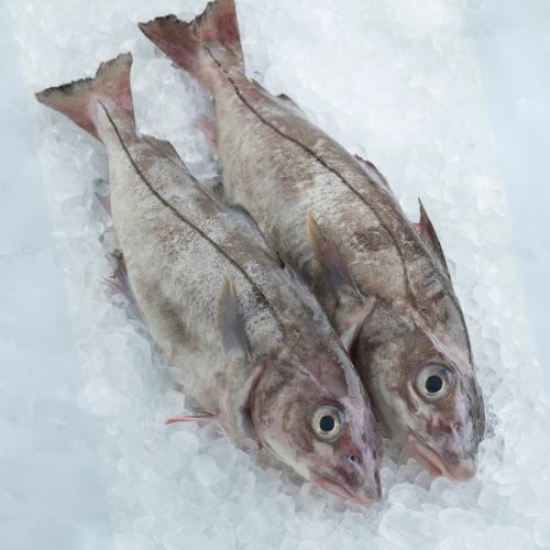 Whole Haddock 800g
