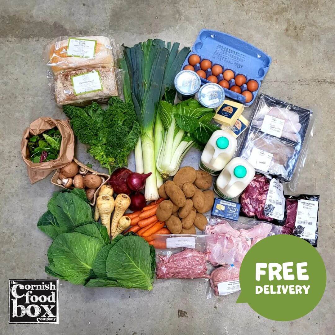 Family Food Box Large