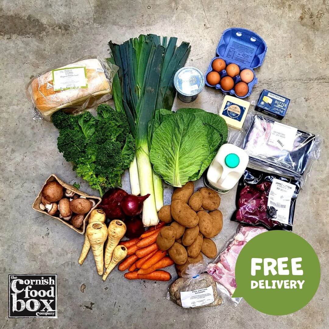 Family Food Box Small