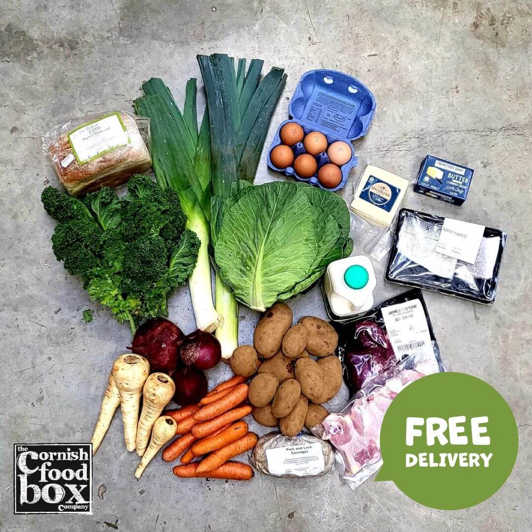 Family Food Box Mini