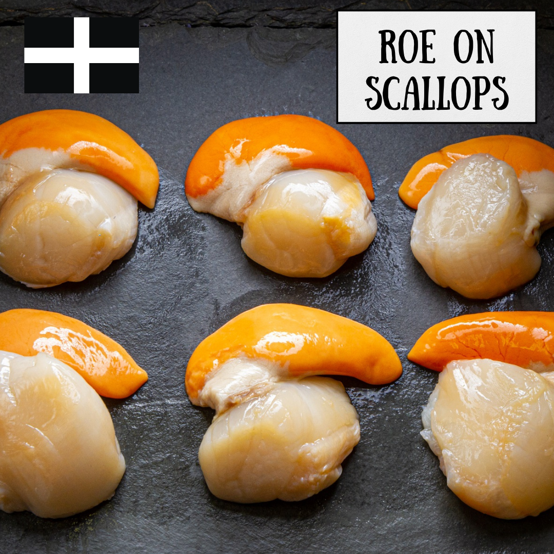 fresh king scallops