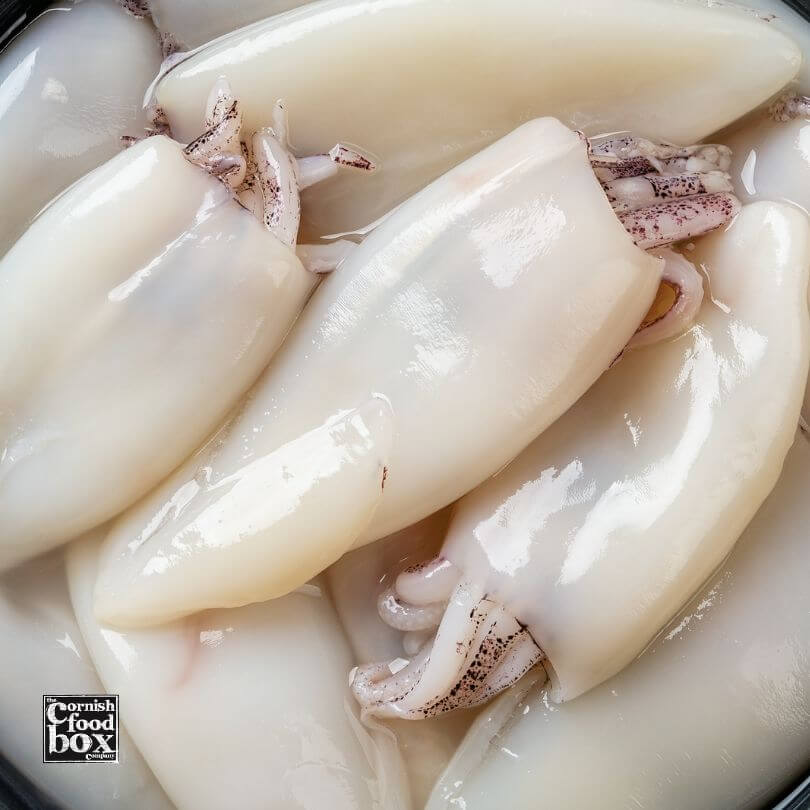 Cleaned and prepared squid