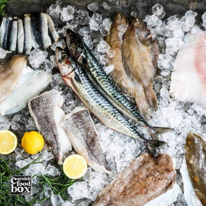 buy fish box uk